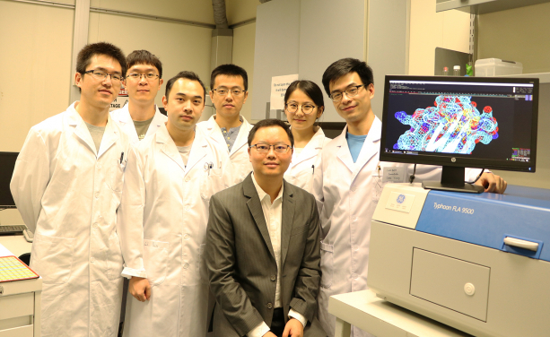 Dr Xiang David Li and his research group at HKU Department of Chemistry.